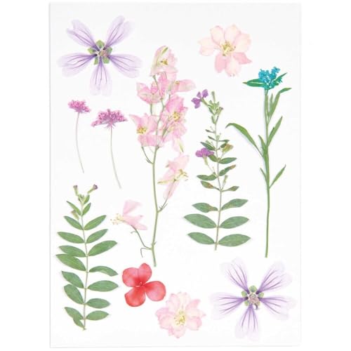 Rico Design Fiori secchi e pressati - Viola e rosa miniatura 1