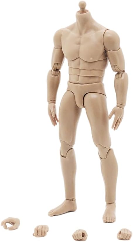 Fremego 1/12 Scale Male Body,6inch Male Joint Flexible Soldier Miniature Action Figure Body Collectible (3pcs Waist)