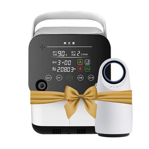 Hullaards Free Air Purifier with Oxygen Generator