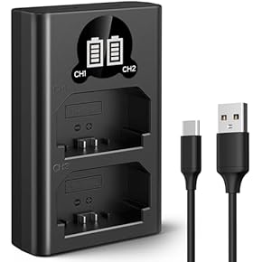 Amazon.co.jp: 充電器 - バッテリー・充電器・アダプター: 家電＆カメラ