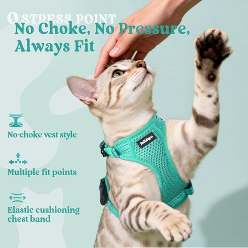 rabbitgoo Cat Harness and Leash, Easy-on with Neck Buckle, Green — view 7