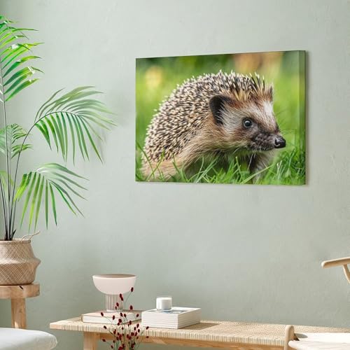 Póster estético de naturaleza para pared de oficina y hogar 6