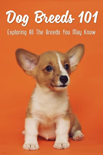 Dog Breeds 101: Exploring All The Breeds You May Know: Dog Breeds With Interesting History