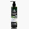 Talaypu Herbal Extract Scalp Care Refreshing Shampoo - Natural Herbal extracts Formula, free from harmful chemicals, NO sulfates,No artificial Color (8.12oz) (Cool Herbal Formula)