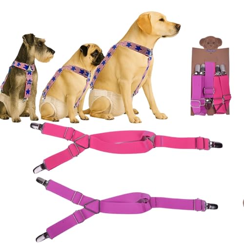 ̂ނTXy_[ ƒj 2pbN (AJ&C{[XgCv) ߉\A10~200|ȟpSXgbvNbvAނ̂◎̉Kh~(SAsNA[Y)