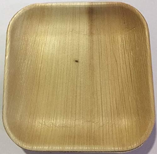 Eco-Friendly Disposable Party Plates - 22cm Square (25 Plates)