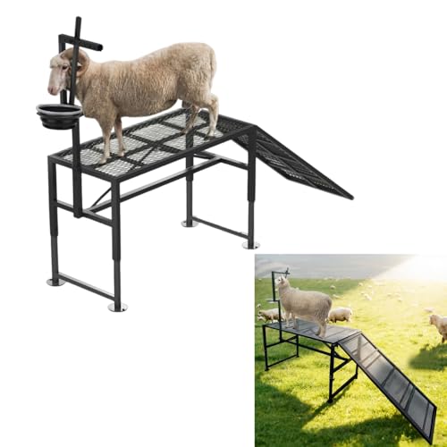 TERCFDSK Heavy Duty Height-Adjustable Metal Goat Milking Stand with Ramp & Feed Bin, 600LBS Capacity Livestock Trimming Stand for Goats, Lambs & Sheep