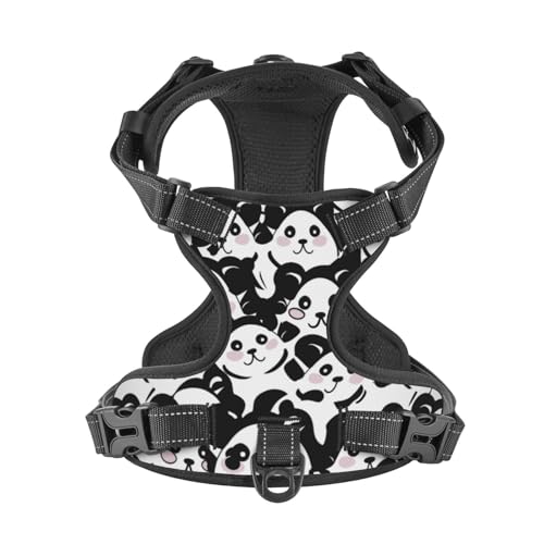 Medium Dog Harness & Leash Set with No-Pull Clips