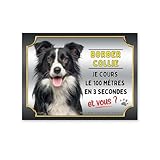 Plaque attention border collie court le 100 mètres, panneau humour border collie monte la garde, pancarte border collie humour personnalisable, modèle 2