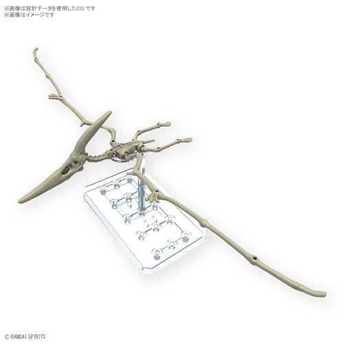 Bandai Pteranodon - vue 3