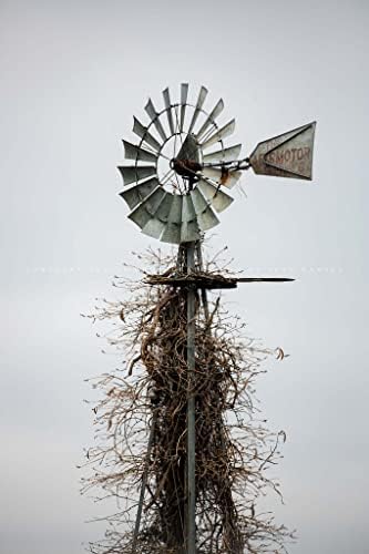 Country Photography Print (Not Framed) Vertical Picture of Aermotor Windmill Covered in Vines in Oklahoma Farm Wall Art Farmhouse Decor (40" x 60")