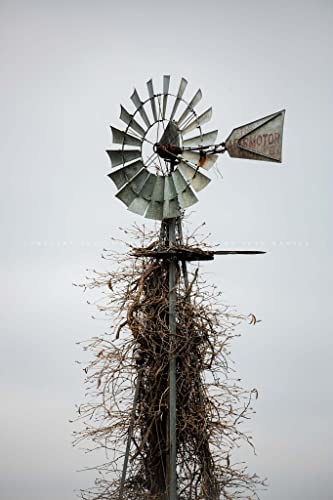 Country Photography Print (Not Framed) Vertical Picture Of Aermotor Windmill Covered In Vines In Oklahoma Farm Wall Art Farmhouse Decor (40" X 60") #TOP3