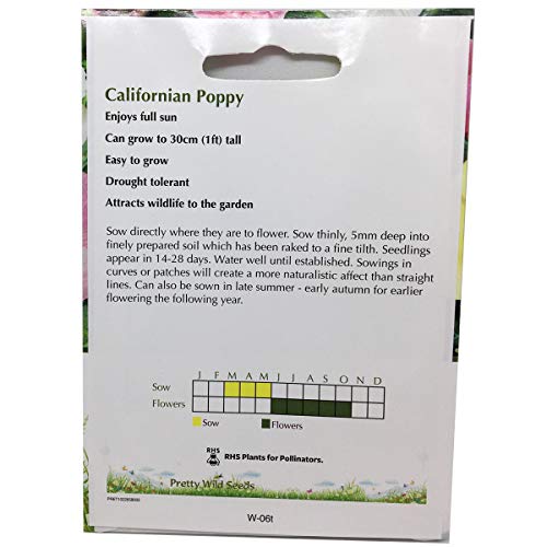 2g California Californian Poppy Mix - 2000 Escholtzia californica Fresh Seeds Annual Flower by Pretty Wild Seeds,