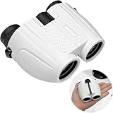 双眼鏡【ドイツレッド•ドット賞受賞】双眼鏡 ライブ用 20倍 防振 オペラグラス 天空席 ディテールを明瞭に捉えます【SPIE光学技術防振】広角視野 人間工学に基づく設計 クリアで安定した視覚体験 超軽量 コンパクト メガネ対応 ドーム/オペラ/観劇/ライブ/スポーツ観戦/バードウォッチング用