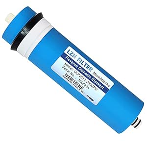 LZH FILTER 2812-200GPD RO Membran, Umkehrosmose, Rücklauf-Wasserfilter, Ersatz-Kartusche für Trinkwasserfiltersystem mit 5 Etagen