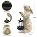 REYISO Garden Statues Rabbit with Solar Lights- Bunny Figurine Outdoor Rabbit Fall Decor for Home Lawn,Balcony-Yard Art Garden&Patio Whimsical Decor,Unique Housewarming&Birthday Gifts for Women Mom