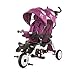 Produktbild Chipolino Tricycle Dreirad 2Fun für Zwillinge, klappbar, Lenkstange, Gummiräder, Farbe:lila