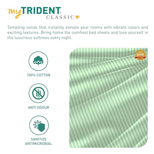 Image of MYTRIDENT Bedsheet for Double Bed, Classic King Size Bedsheet with 2 Pillow Covers, 210TC, 100% Cotton Bedsheet - Sea Foam