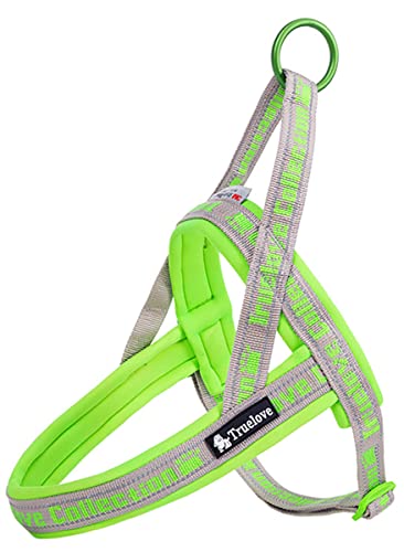 cocomall AɗDn[lX 2022ŐV TRUE LOVE{X pn[lX p hbO ybgpi 3Mˍޗ P o lIvf ^A^A^Ɍ ʋC ߉\ ĂɑΉ(XXS, O[O[