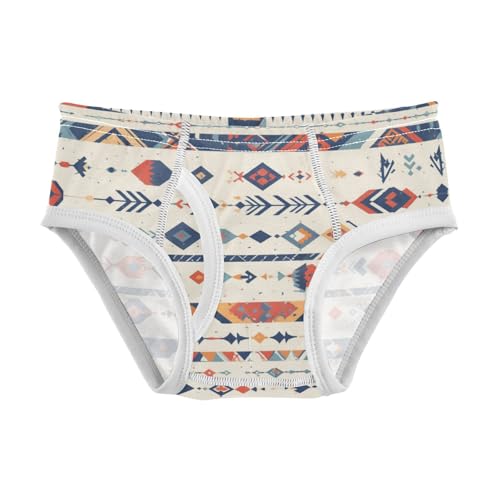 KLL Seamless Ethnic and Tribal Pattern Little Boys Cotton Athletic Underwear Cute Undies