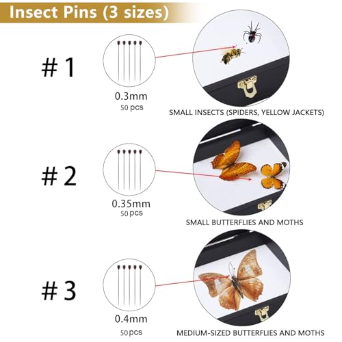 GLOBLELAND 1 Insektenschaukasten Zur Wandmontage Insektensammelbox Set Für Schmetterlingsproben Mit 1 Eva Schaumstoffplatten 2 gebogenen Pinzetten Aus Edelstahl Und 150 Insektennadeln