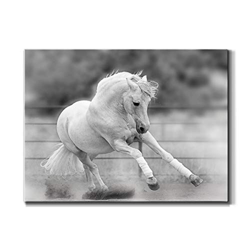 Renditions Gallery Canvas Animal Wall Art Home Paintings & Prints Vintage Dancing Horse Modern Black & White Wall Hanging Romantic Artwork Decor for Bedroom Office Kitchen - 18"x27" LT33