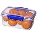 Sistema KLIP IT Rectangular Collection Food Storage Container, 33.8 oz./1 L, Clear/Blue, 2 Count