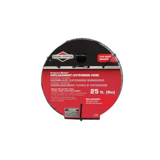 Briggs & Stratton 25-Feet Pressure Washer Hose