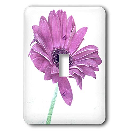 Interrupteur de qualité supérieure motif fleur Rose Gerbera Daisy 3dRose - 2