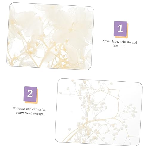 Kit de Flores Secas Prensadas para Manualidades miniatura 5
