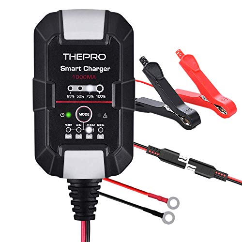 THEPRO 6V/12V 1Amp Smart Charger, Selectable Lead Acid/Lithium(LiFEPO4