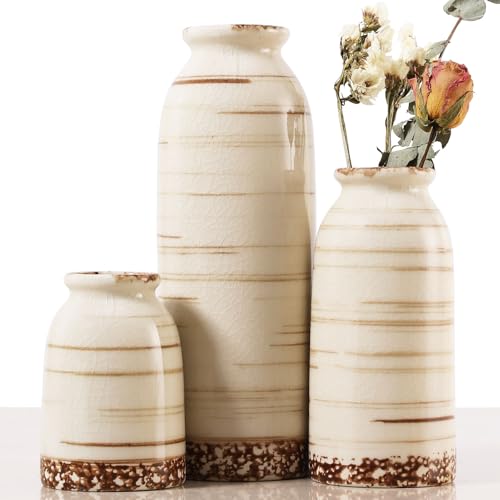 Joeabor Ceramic Vase Set of 3 - Handcrafted Ceramic Vases