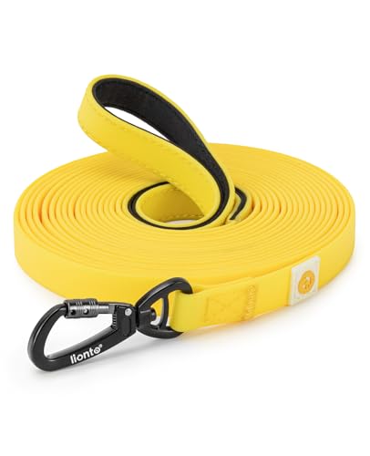 lionto Correa de Arrastre con mosquetón de Seguridad 360°, 5 m, con Bolsa y asa Acolchada, Correa...