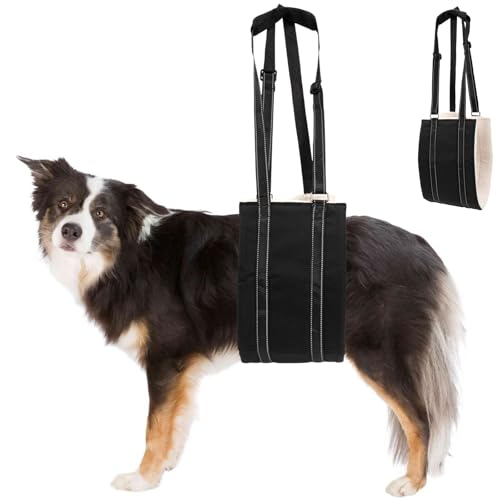 WATNTOW Dog Slings for Large Dogs, Dog Lift Harness - Adjustable Large Dog Harness, Comfortably Supports Rear Legs and HIPS (L)