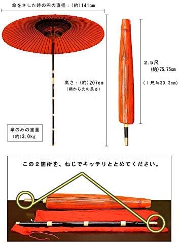 山本竹細工屋（YAMAMOTOTAKIZAYIKUYA)野点傘 専用収納バッグ付き (2.5