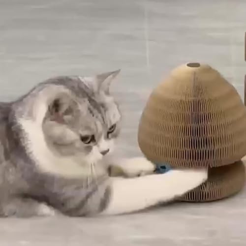Orgue pour chat rétractable pour amuser votre animal dans le salon - 4