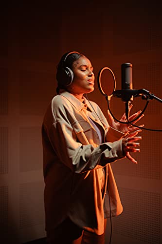 Beyerdynamic Pro X M90 Side Addressed Condenser Microphone With Storage Bag, Pop Filter, And Shock Mount #TOP5