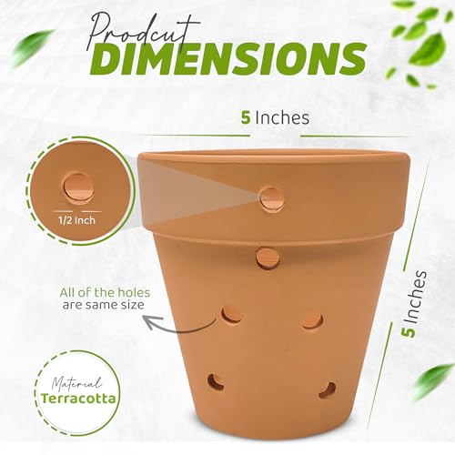 Recopilación y reviews de Macetas Terracota - los mas comprados. 21 Imagen adicional
