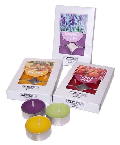 Bolsius Nightlights -French Vanilla - 6 Per Pack