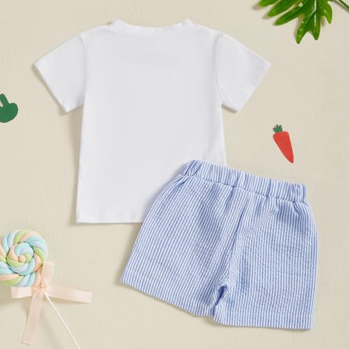 Image of Kavousa Toddler Boy Easter Outfit Baby Boy Bunny Short Sleeve T Shirt And Shorts Set 2 Piece Spring Summer Clothes