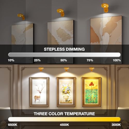 Image of Picture Lights for Wall Wireless with Magnetic,2000mAh Rechargeable Picture Frame lights with Dimmable,Puck Lights with Remote Control,Art Lighting for Paintings,Counter, Shelf,Bookcase(4 Pack,Gold)