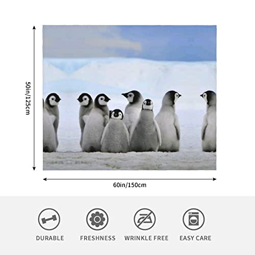 Couverture en microfibre de flanelle pingouins pour lit et canapé - 6