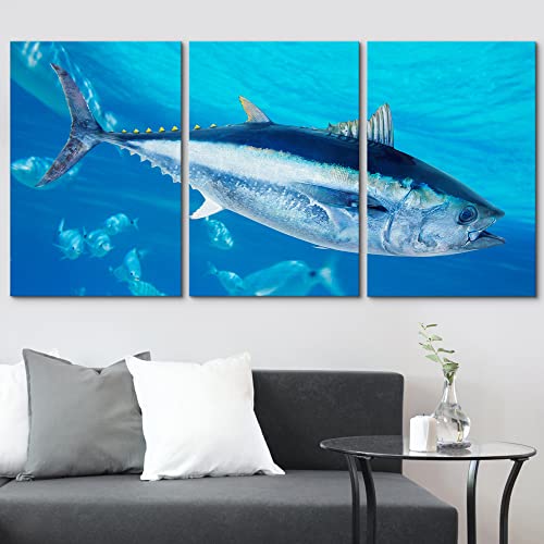 Wall26-3 Piece Canvas Wall Art - Bluefin Tuna Thunnus Thynnus Saltwater Fish In Mediterranean - Modern Home Art Stretched And Framed Ready To Hang - 16"X24"X3 Panels #TOP2