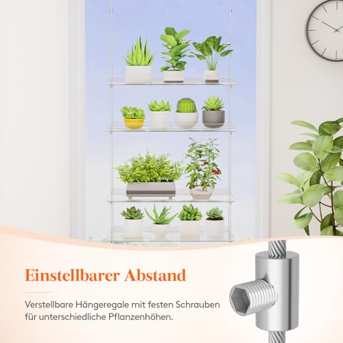 Lifewit 3 Stufen Fensterregal Pflanzen zum Einängen, Kunststoff Pflanzenregal trag. 9KG jeder Stufe, Verstellbar Fenster Regal für Blumen Sukkulenten Microgreens Anzuchttöpfe Kräuter, 38 x 15 cm/15x6