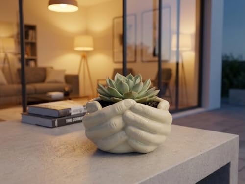 Image of Lasaki Hand Ivory HT25 Ceramic Pots for Indoor Plants, Planters,gamla,Outdoor,Balcony,Home,Round,Garden, Office Decor,Succulent(L - 19 .5X W - 16 X H - 10 cm)(Plants not Included)