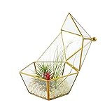 [Materiales de cobre y vidrio de alta calidad] La maceta de vidrio está hecha de vidrio blanco transparente de alta calidad y la periferia está decorada con tiras de cobre, que es muy hermoso y exquisito y tiene un buen efecto de refuerzo.