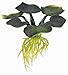 Exo Terra Water Plant, Hyacinth
