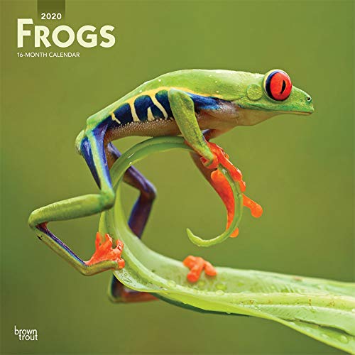 Télécharger Frogs 2020 Calendar PDF Ebook En Ligne