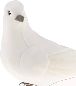 41WP7CSYKNL._AC_UF350,