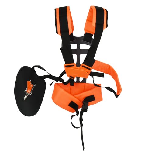 @n[lX | pbh ^xgt Sy jp S[Ot